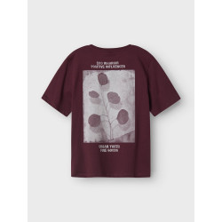 NAME IT KIDS Kasper T-shirt - Fig