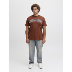 JACK & JONES PLUS Caleb Varsity T-Shirt - Burnt Henna