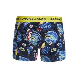 JACK & JONES Flower Bird 3-Pak Boxershorts - Surf The Web