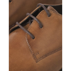 JACK & JONES Woslo Derbysko - Cognac