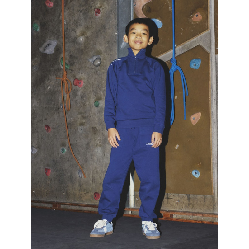 NAME IT KIDS Obie L/S Sweatshirt - Insignia Blue