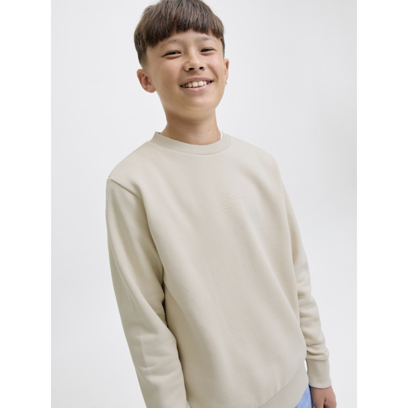 JACK & JONES Junior Jin Sweatshirt - Moonbeam