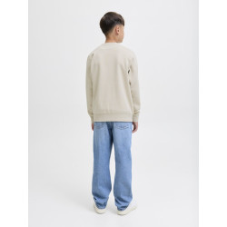 JACK & JONES Junior Jin Sweatshirt - Moonbeam