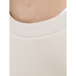 JACK & JONES Junior Jin Sweatshirt - Moonbeam