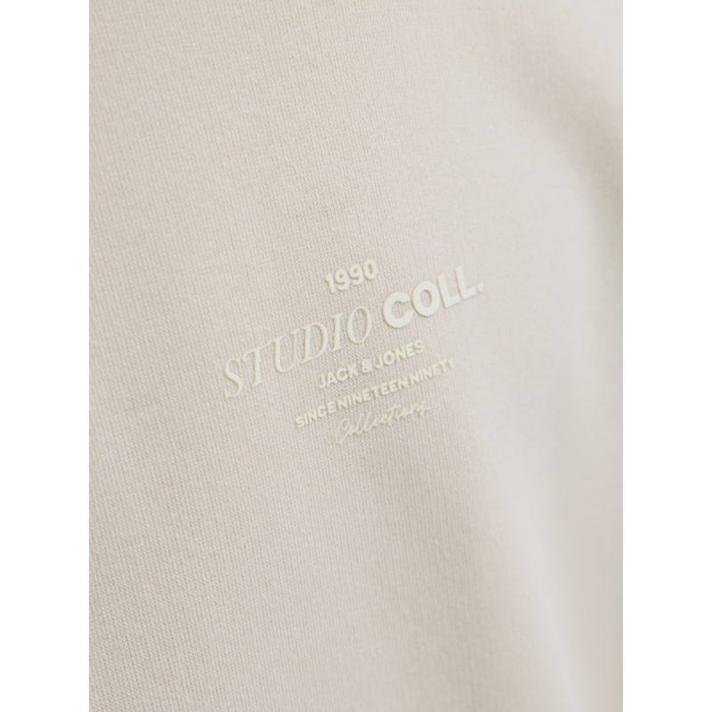 JACK & JONES Junior Jin Sweatshirt - Moonbeam