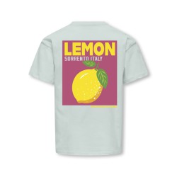 KDIS ONLY Carina S/S Løs Print T-shirt - Wan Blue