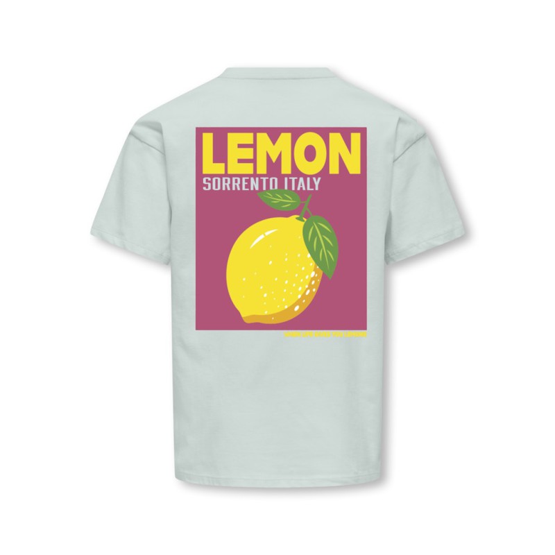 KDIS ONLY Carina S/S Løs Print T-shirt - Wan Blue