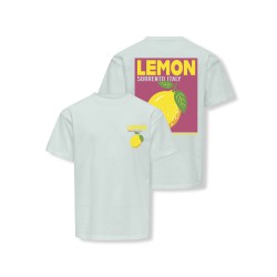 KDIS ONLY Carina S/S Løs Print T-shirt - Wan Blue