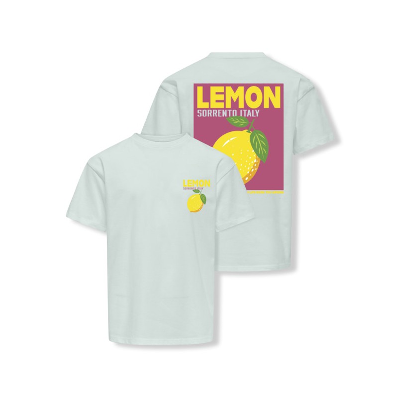 KDIS ONLY Carina S/S Løs Print T-shirt - Wan Blue