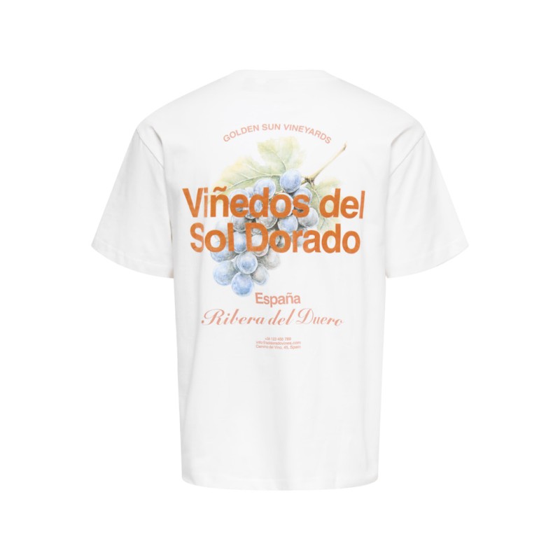 ONLY & SONS Fred Relaxed S/S Print T-shirt - Bright White / Vinedos