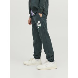 JACK & JONES Junior Tribeca Sweatpants - Magical Forest