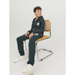 JACK & JONES Junior Tribeca Sweatpants - Magical Forest