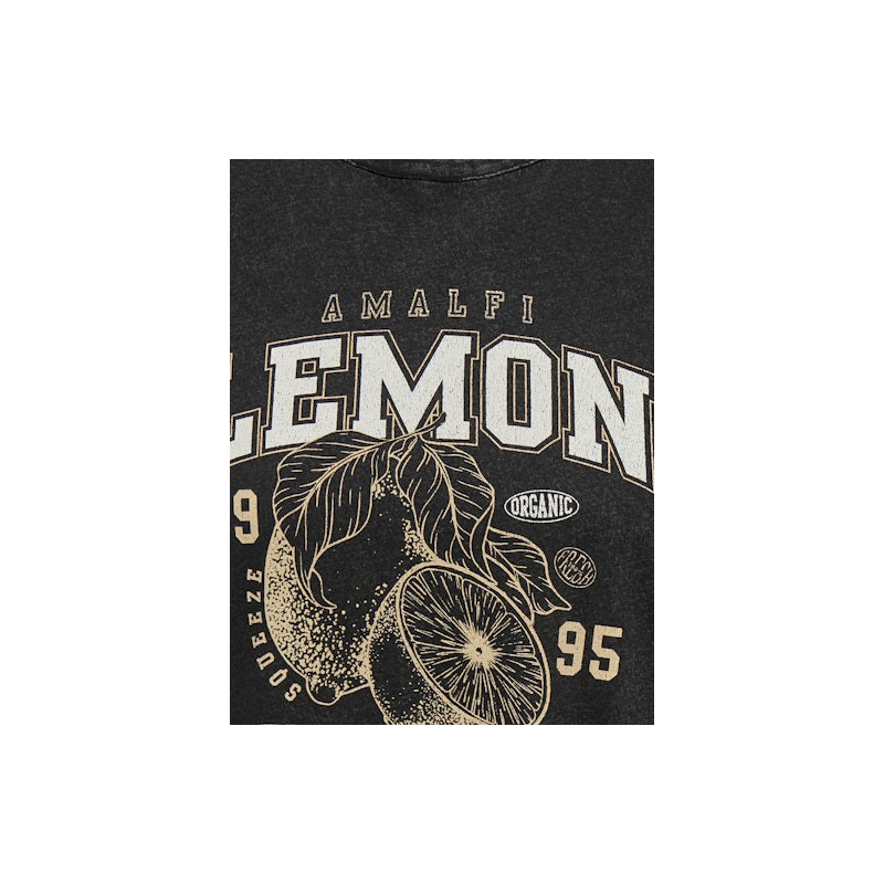 ONLY CARMAKOMA Lucy T-shirt - Sort / Fruity Lemon