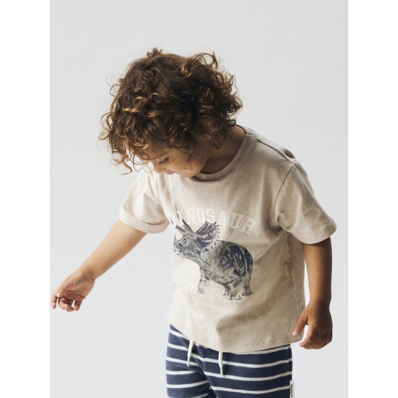 NAME IT MINI Feath Dino T-shirt - Chateau Gray