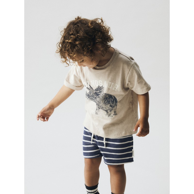 NAME IT MINI Feath Dino T-shirt - Chateau Gray