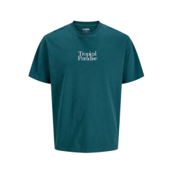 JJ REBEL Christian Kortærmet T-shirt - Mediterranea