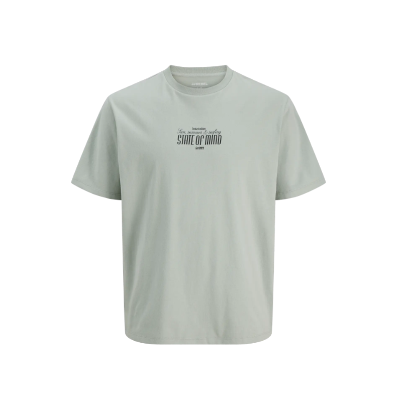 JJ REBEL Christian Kortærmet T-shirt - Aqua Gray