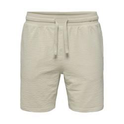 ONLY & SONS Kian Life Seers shorts - Silver Lining