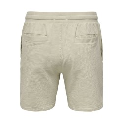 ONLY & SONS Kian Life Seers shorts - Silver Lining