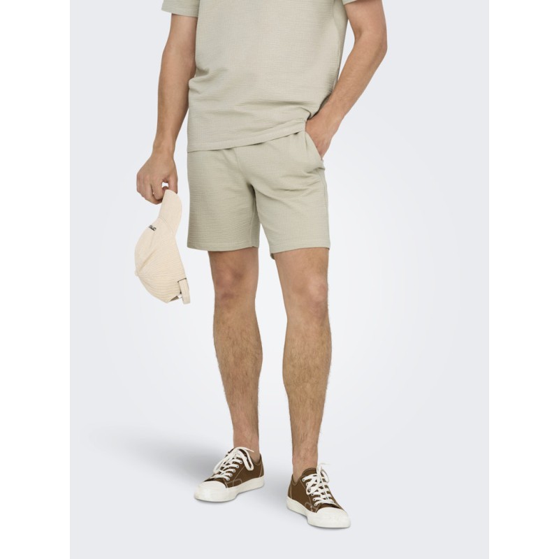 ONLY & SONS Kian Life Seers shorts - Silver Lining