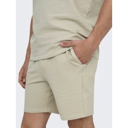 ONLY & SONS Kian Life Seers shorts - Silver Lining
