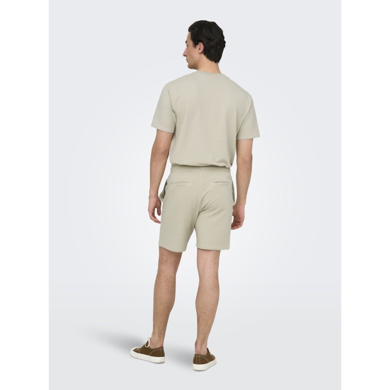 ONLY & SONS Kian Life Seers shorts - Silver Lining