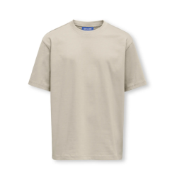 ONLY & SONS JUNIOR Fred Life T-shirt - Silver Linning