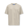 ONLY & SONS JUNIOR Fred Life T-shirt - Silver Linning