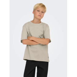 ONLY & SONS JUNIOR Fred Life T-shirt - Silver Linning