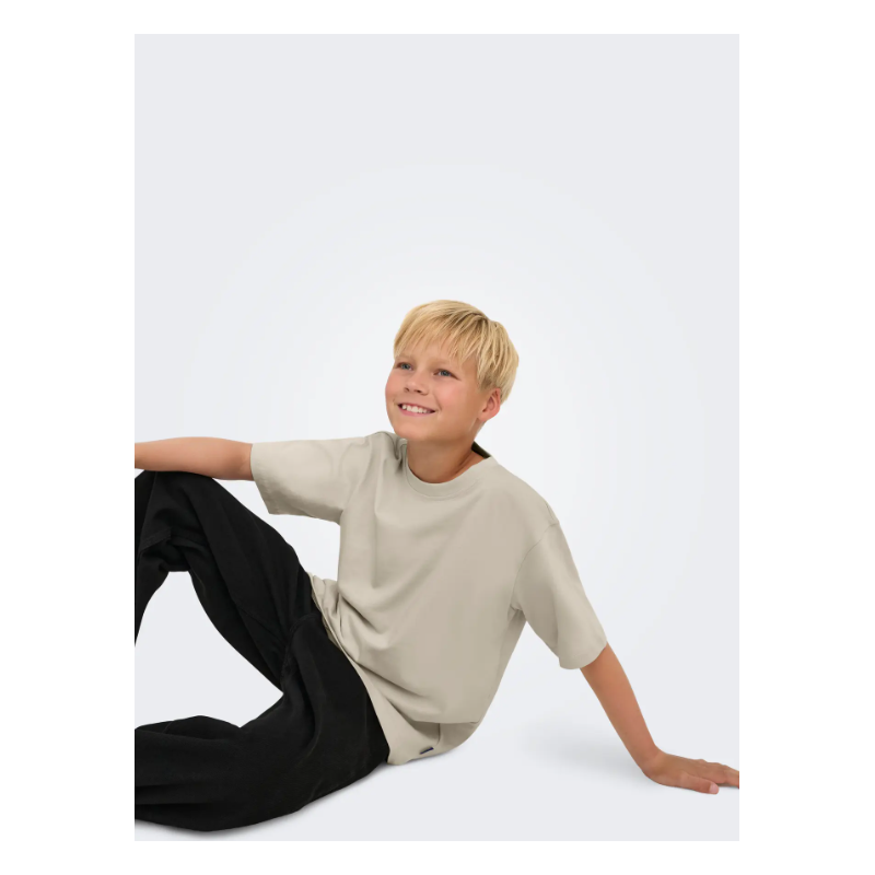 ONLY & SONS JUNIOR Fred Life T-shirt - Silver Linning