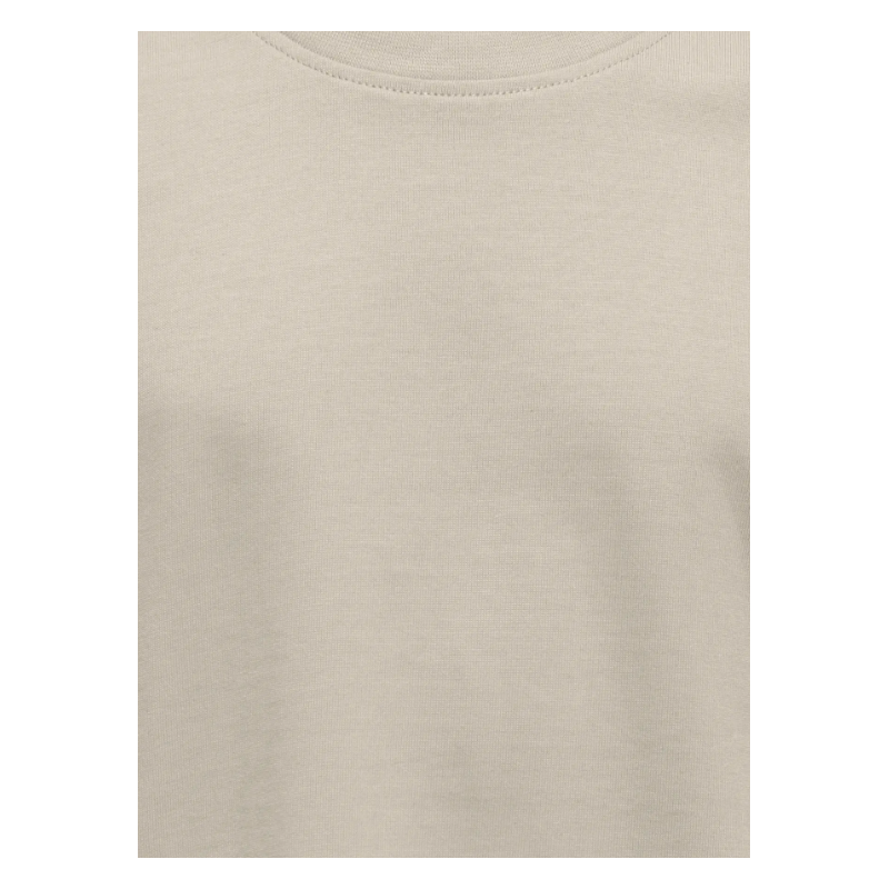 ONLY & SONS JUNIOR Fred Life T-shirt - Silver Linning