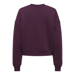 ONLY Best langærmet sweatshirt - Fig