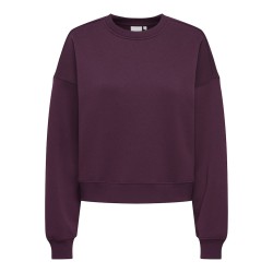 ONLY Best langærmet sweatshirt - Fig