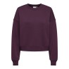 ONLY Best langærmet sweatshirt - Fig