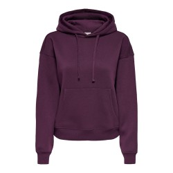 ONLY Best langærmet hoodie - Fig