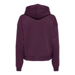 ONLY Best langærmet hoodie - Fig
