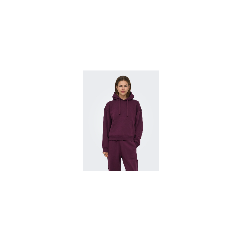 ONLY Best langærmet hoodie - Fig