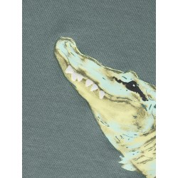 NAME IT Mini Kalle kortærmet T-shirt - Urban Chic
