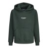 JACK & JONES Junior Soho Hoodie - Scarab
