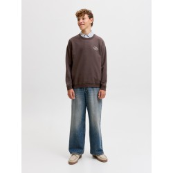 JACK & JONES Junior Norrebro Typo Sweatshirt - Java