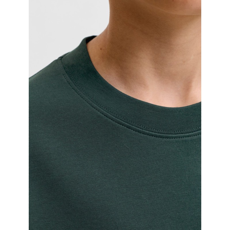 JACK & JONES Junior Barron T-shirt - Scarab