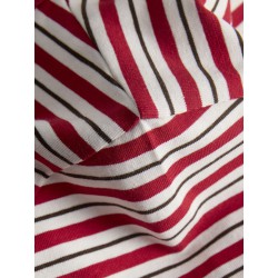 JJXX Gigi kortærmet stribet T-shirt - Scarlet Sage / Vanilla