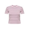 ONLY Lupe kortærmet stribet t-shirt - Pink Lady BURGUNDY STRIBES