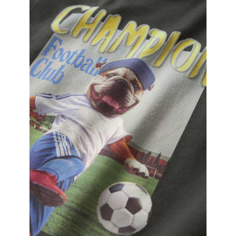 NAME IT Mini Laus kortærmet regular t-shirt - Peat