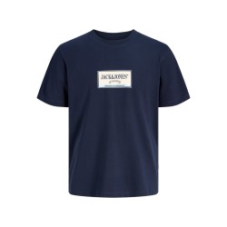 JACK & JONES PLUS Frederiksberg grafisk box kortærmet t-shirt - Sky Captain
