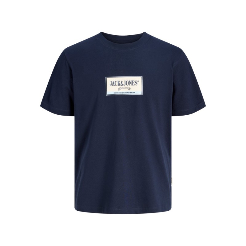 JACK & JONES PLUS Frederiksberg grafisk box kortærmet t-shirt - Sky Captain