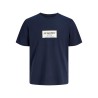 JACK & JONES PLUS Frederiksberg grafisk box kortærmet t-shirt - Sky Captain