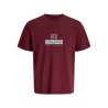 JACK & JONES PLUS Frederiksberg grafisk box kortærmet t-shirt - Chocolate Truffle