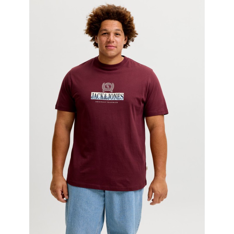 JACK & JONES PLUS Frederiksberg grafisk box kortærmet t-shirt - Chocolate Truffle