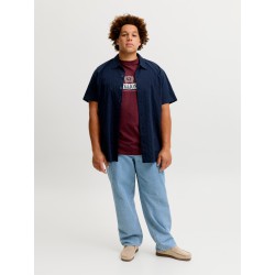 JACK & JONES PLUS Frederiksberg grafisk box kortærmet t-shirt - Chocolate Truffle